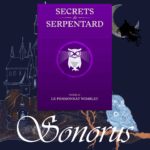 Secrets de Serpentard Tome 2 : Le Pensionnat Wimbley