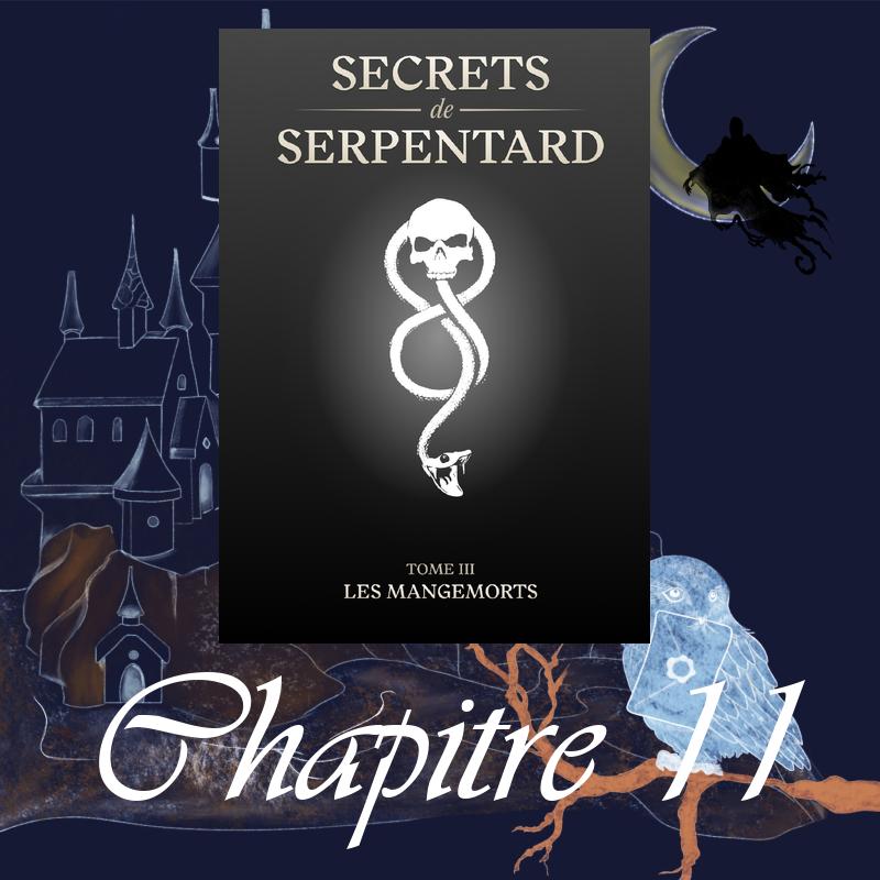 Secrets de Serpentards – Tome 3 – Chapitre 11